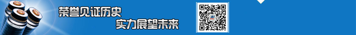低煙無(wú)鹵電纜廠(chǎng)家優(yōu)勢(shì)