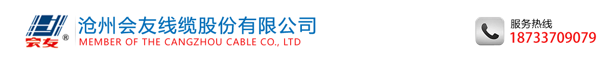低煙無(wú)鹵電纜廠(chǎng)家_35KV電纜供應(yīng)商