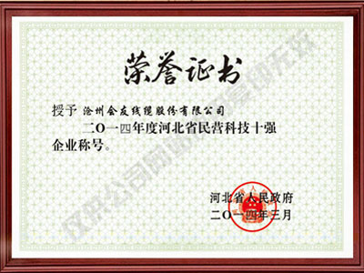河北省民營(yíng)科技十強(qiáng)企業(yè)稱(chēng)號(hào)